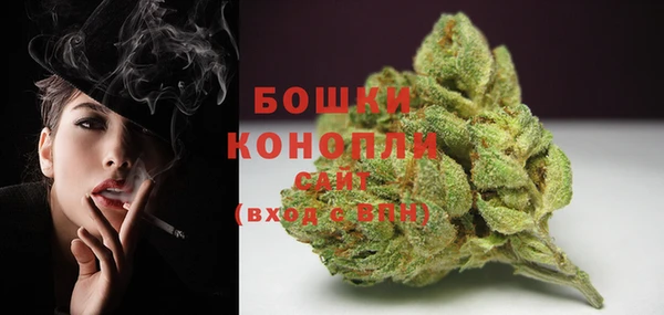 прущие грибы Кодинск