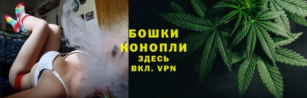 дурь Коряжма