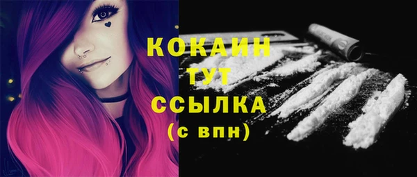 2c-b Козельск