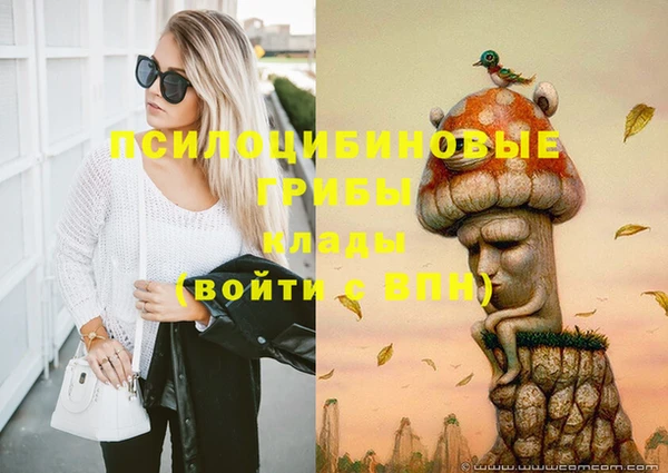мескалин Козловка