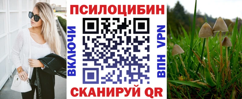 blacksprut зеркало  Нытва  Галлюциногенные грибы MAGIC MUSHROOMS  купить наркотики сайты 